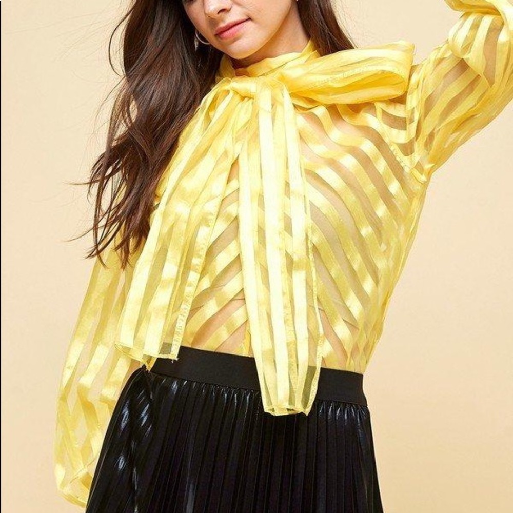 STRIPPED ORGANZA BLOUSE